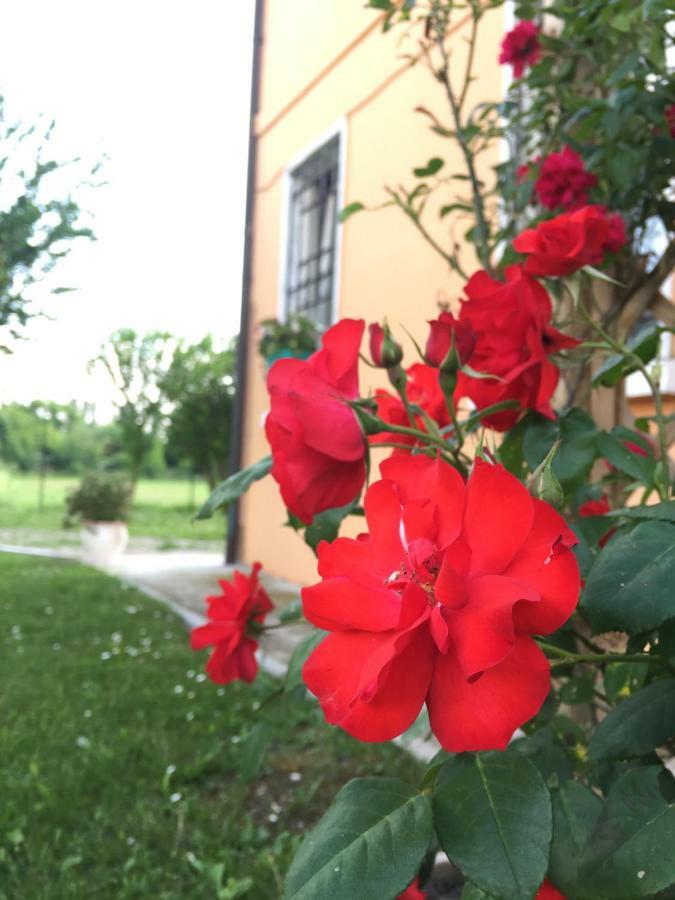 Il "Green " In Giardino Ferrara Exteriér fotografie